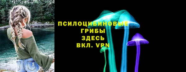 СК Алексеевка