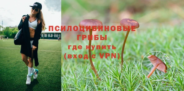 героин Алзамай