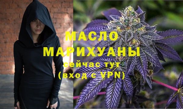 дмт Алексин