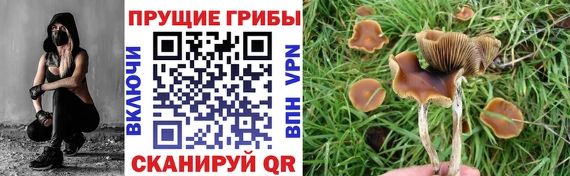 Галлюциногенные грибы MAGIC MUSHROOMS Переславль-Залесский